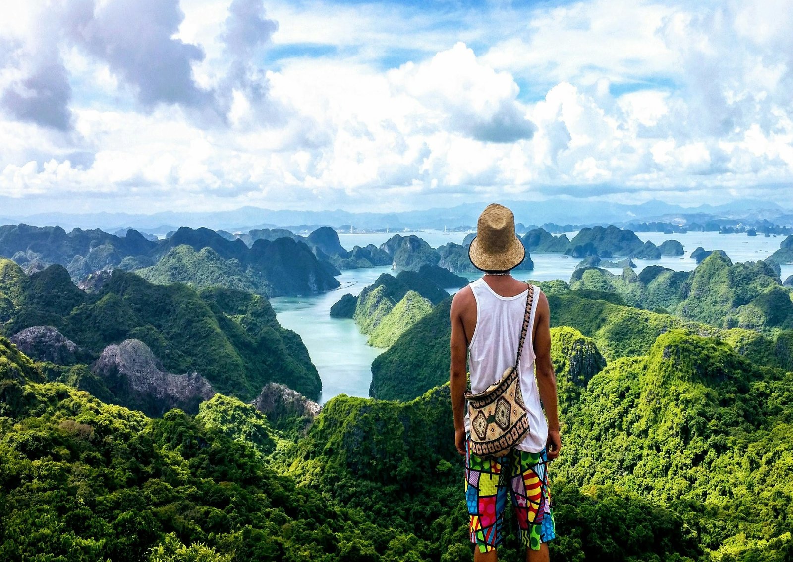 Exploring the Influence of Chinese Language on Vietnamese Business Companies through Cat Food Industry
